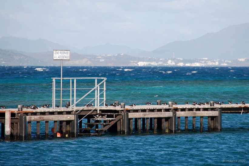 57- Le wharf de l'ilot Signal.JPG